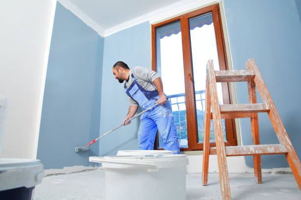 Best Mold Odor Removal Services  in Elk Rapids, MI