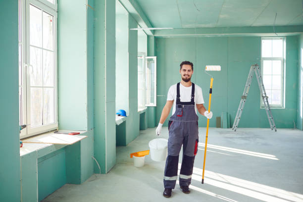 Mold Odor Removal Services in Elk Rapids, MI