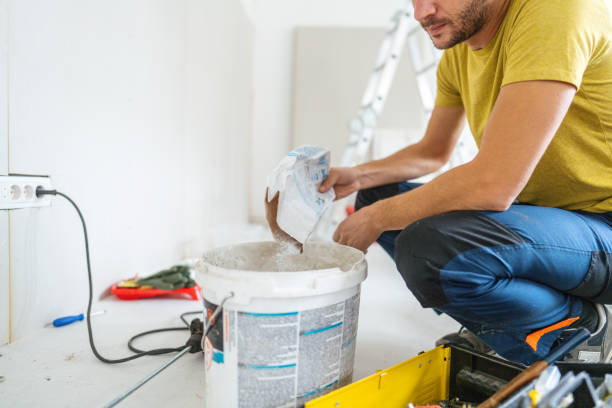 Best Post-Construction Mold Inspection  in Elk Rapids, MI