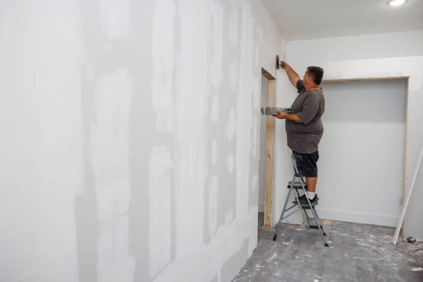 Best Industrial Mold Remediation  in Elk Rapids, MI