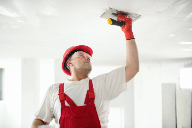 Best Mold Odor Removal Services  in Elk Rapids, MI
