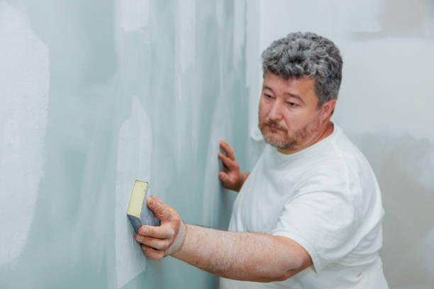 Best Comprehensive Air Testing for Mold Contaminants  in Elk Rapids, MI