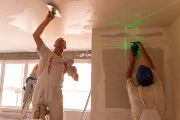 Best Basement Mold Removal  in Elk Rapids, MI