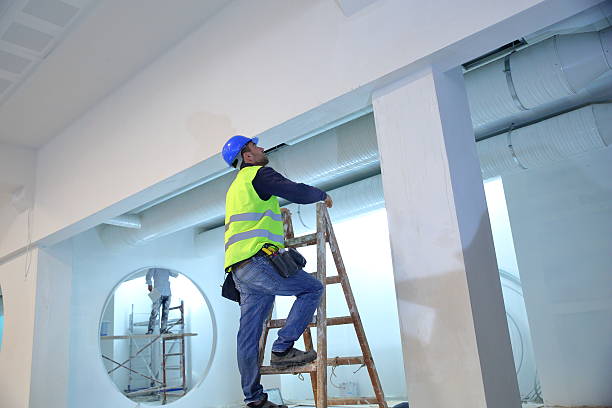 Best Residential Mold Inspection & Testing  in Elk Rapids, MI